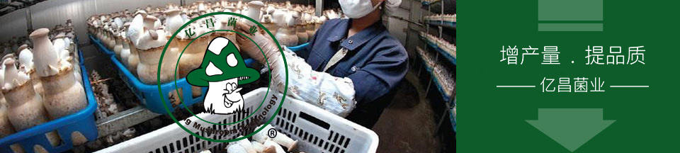 亿昌菌业——控制污染，助力我国食用菌产业稳步发展